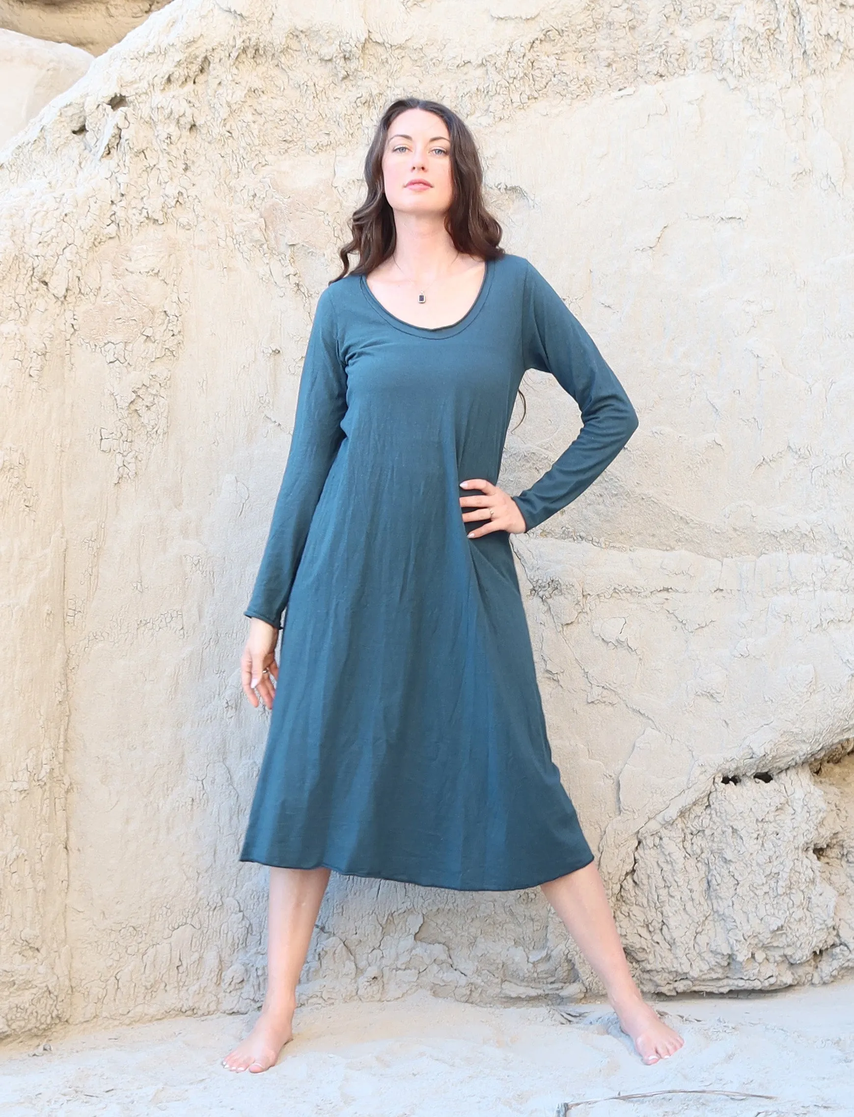 Crescent Ojai Below Knee Dress